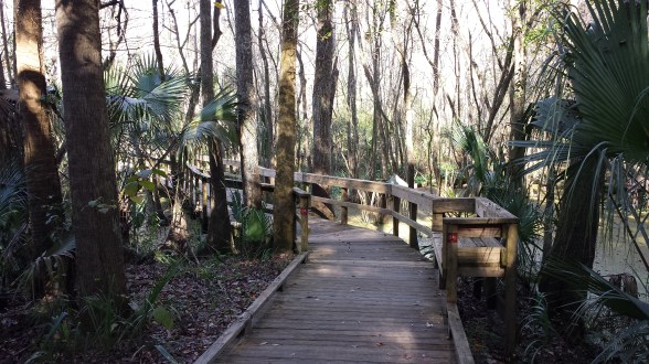 Around the corner 2014-12-20 14.24.24.jpg